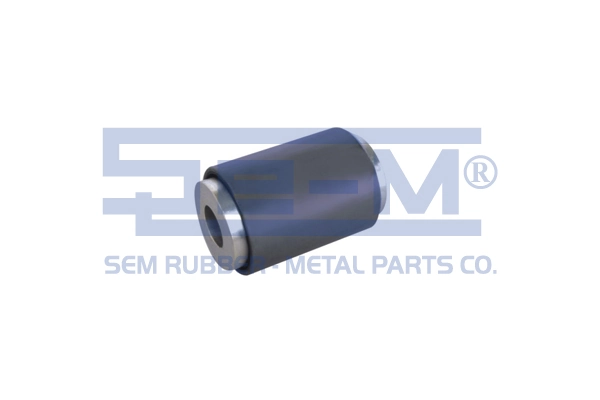 Bushing, leaf spring